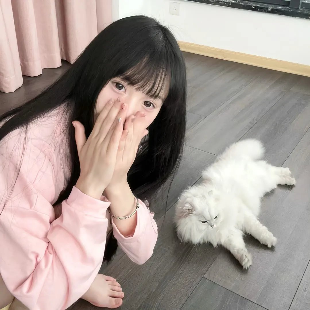 鸡毛信