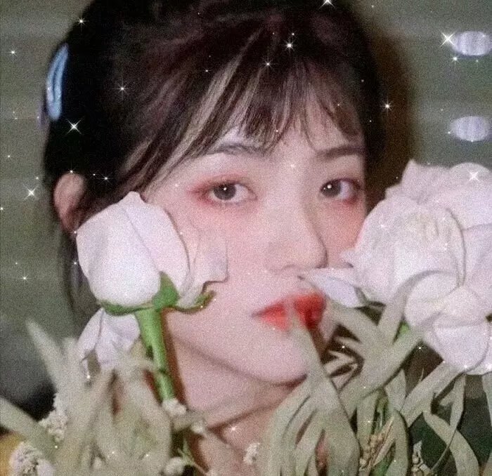 堕落之心