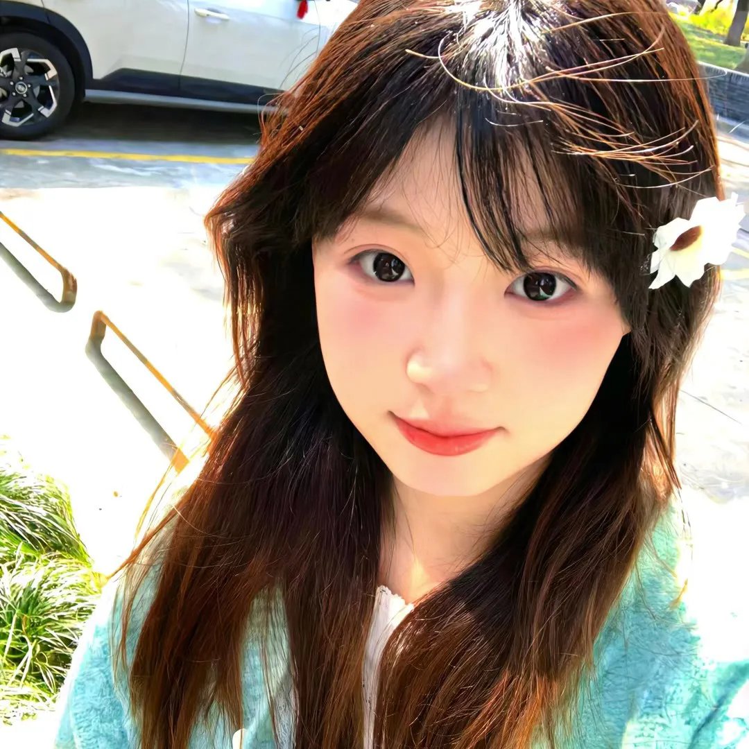 战争姐妹